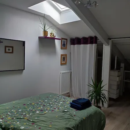 アパート Location De Charme T3 Au 2e Etage Et Dernier Etage