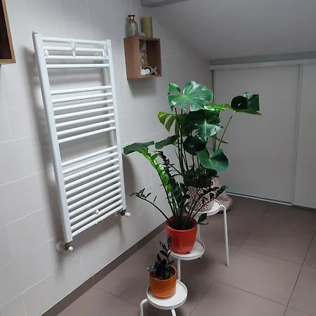 Location De Charme T3 Au 2e Etage Et Dernier Etage アパート *